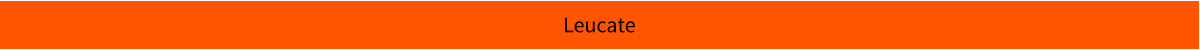 Leucate